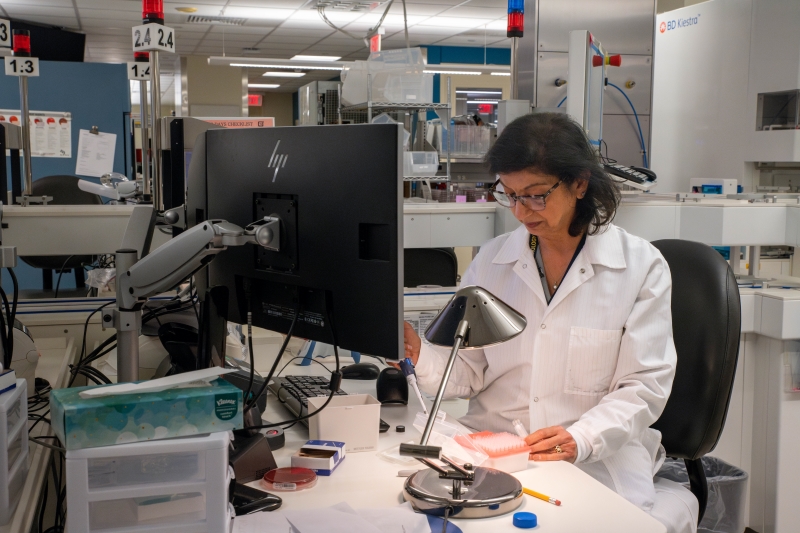 Sunita Punjabi prepares patient samples for plating